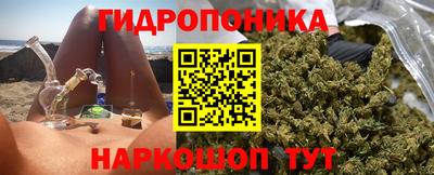 ешки Бийск