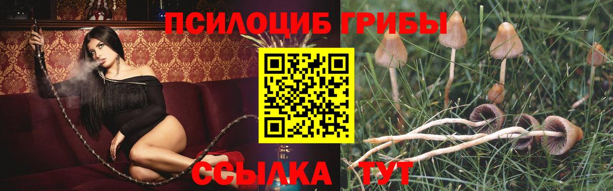 Псилоцибиновые грибы прущие грибы  Вход с VPN  Казань 